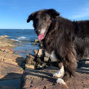 Meet your Posher, Mae